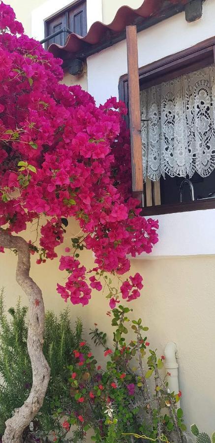 Yiayia'S Home Chalki Town Exterior photo
